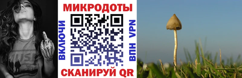 купить закладку  Исилькуль  гидра рабочий сайт  Галлюциногенные грибы прущие грибы 
